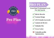 Best Resume Writing Services - Pro plan