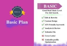 professional resume writing services - Basic Plan