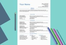 Admirable-a-Resume-sample-example-CV-template-ResumesTree.com