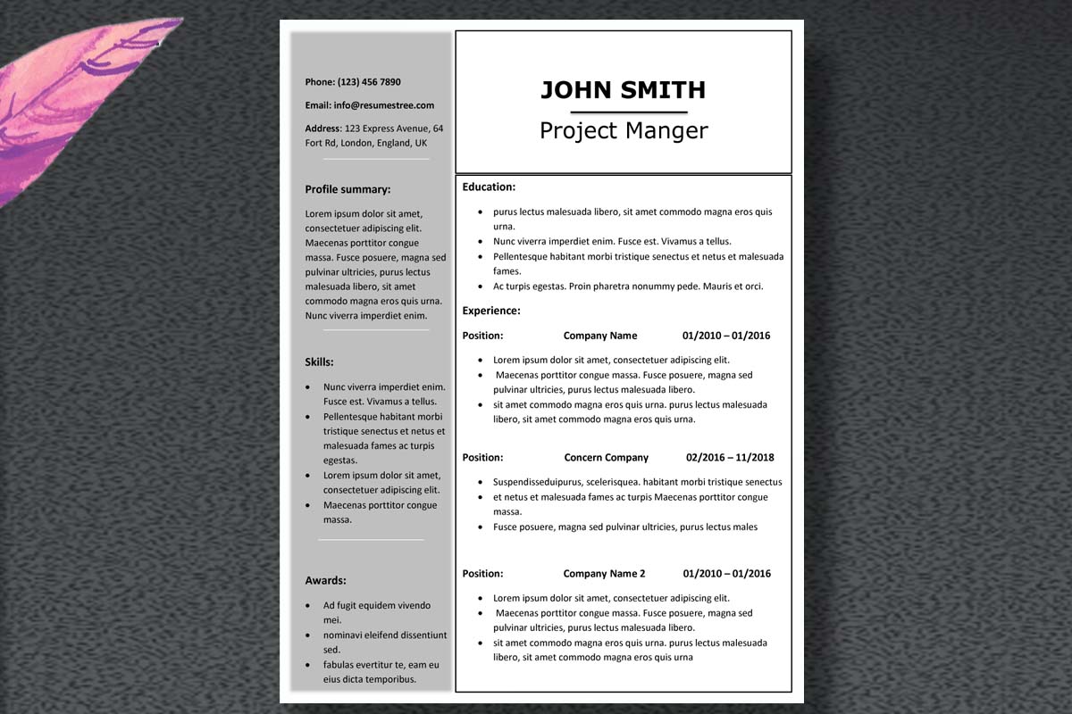 perfect grey sh template resumes cv