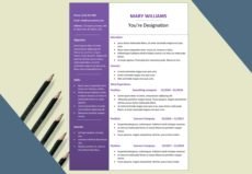 Tempt-Resume-CV-Paid-Best-Resume-Template-ResumesTree.com
