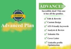 professional resume writers service